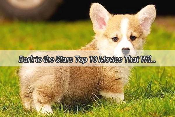 Bark to the Stars Top 10 Movies That Will Have Your Dog Howling with Joy